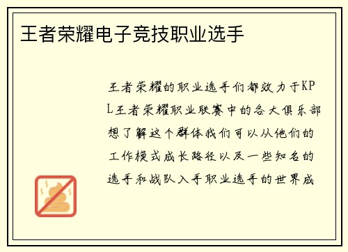 王者荣耀电子竞技职业选手